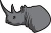 Rhinoceros.jpg