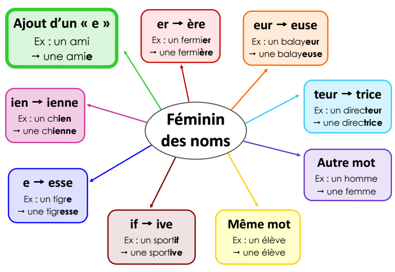 Resultado de imagen de Le fÃ©minin des noms et des adjectifs