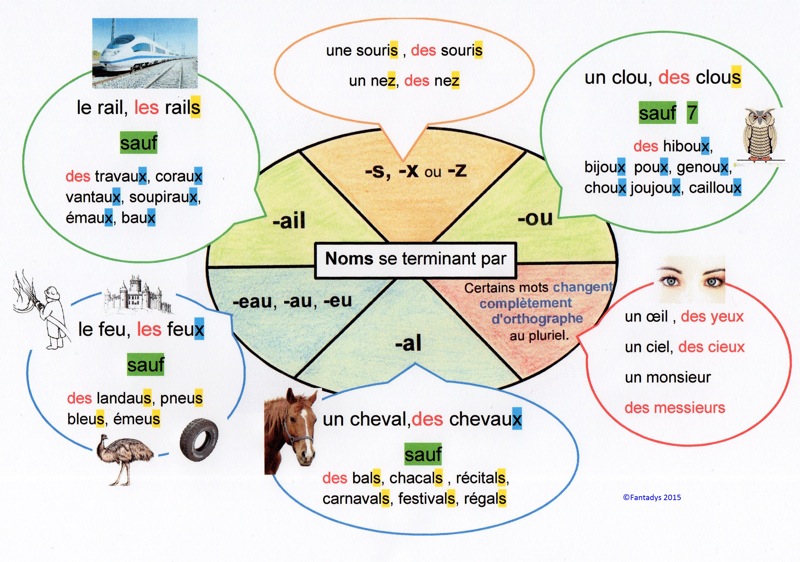 Pluriel Des Noms Et Des Adjectifs Ecole D H M Villers