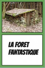 couv Forêt fantastique.jpg