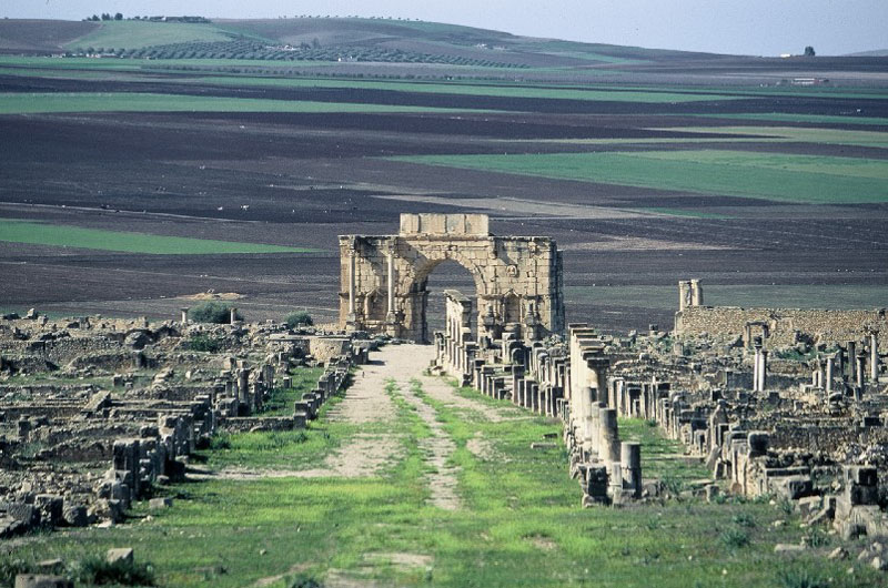 volubilis.jpg