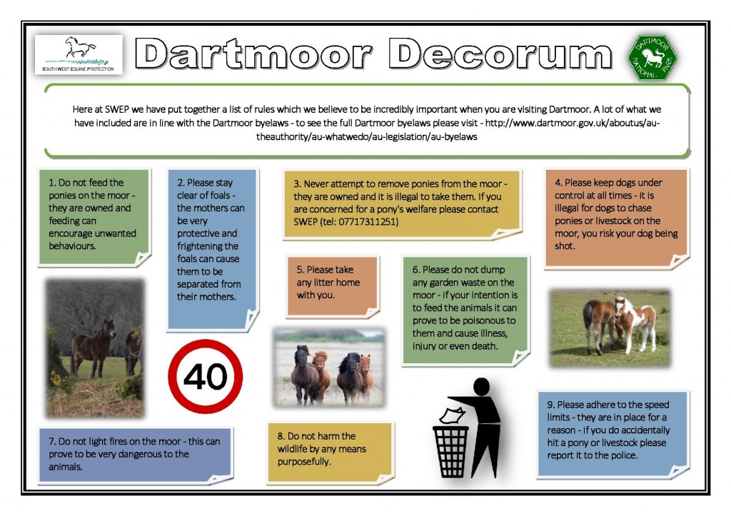 Dartmoor-decorum2-page-001-1024x723.jpg
