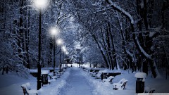 hiver_ideal_decembre__2015.jpeg