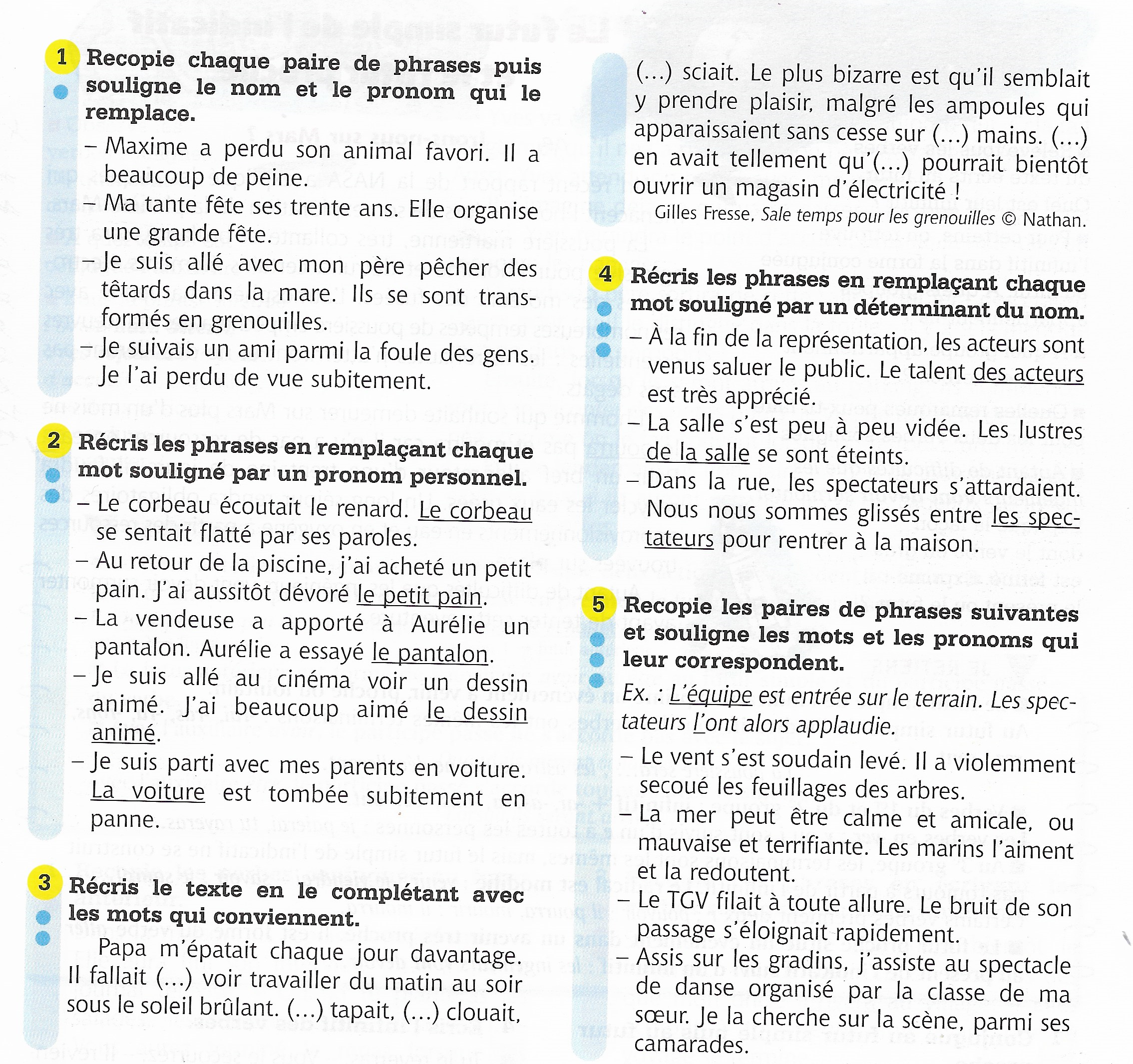 Exercices Sur Les Déterminants Et Les Pronoms 5ème Pdf Grammaire - weissblog