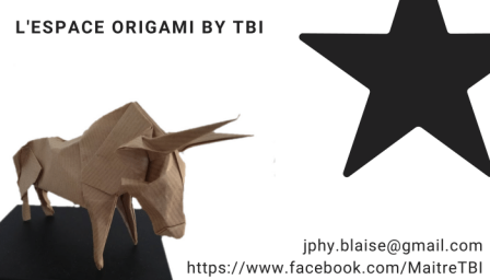 Carte_de_visite_Lespace Origami by TBI-2.png